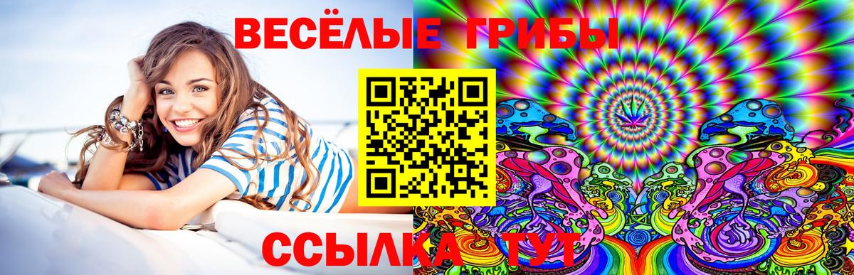 Галлюциногенные грибы мухоморы  Псилоцибиновые грибы Magic Shrooms  Выборг 