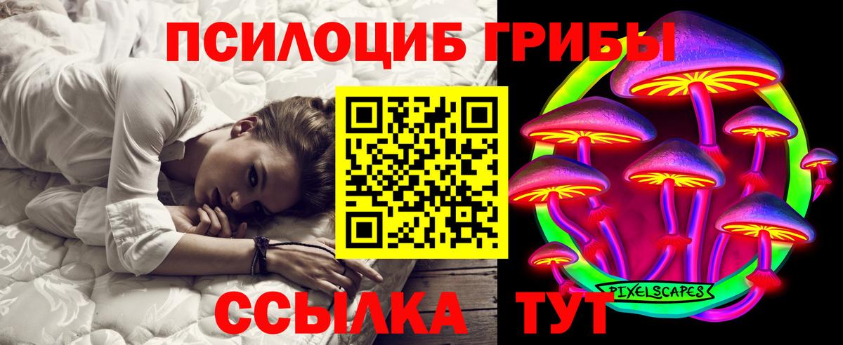 Псилоцибиновые грибы Psilocybe Выборг