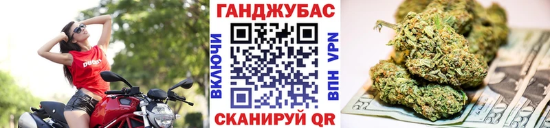Каннабис сатива  кракен вход  Выборг 