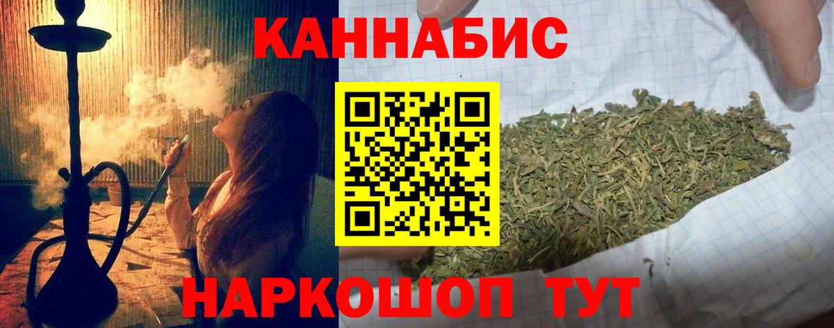 Конопля White Widow  Вход с VPN  МАРИХУАНА гибрид  Выборг  Конопля конопля 